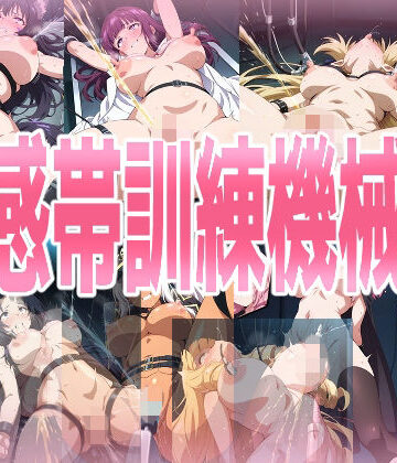 性感帯訓練機械姦