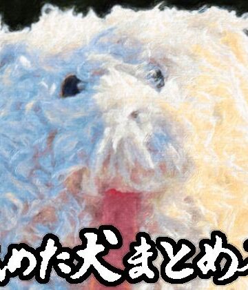 舐めた犬まとめ本|舐めた犬-ギャグ・コメディ ★評価4.86