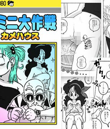 ミニミニ大作戦 in カメハウス|屋根裏工房-クンニ ★評価2.00